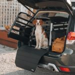 Thule suņu kastes paklājiņš - standarta - Image 4